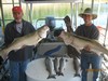 (09/29/2016) - Nice Striped Bass